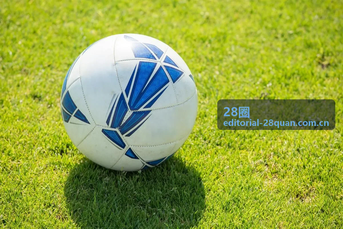28圈人物档案封面图：数据分析师周渺